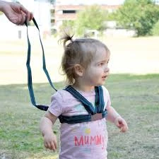 Safety 1st harness - سيفتي فيرست - Image 4