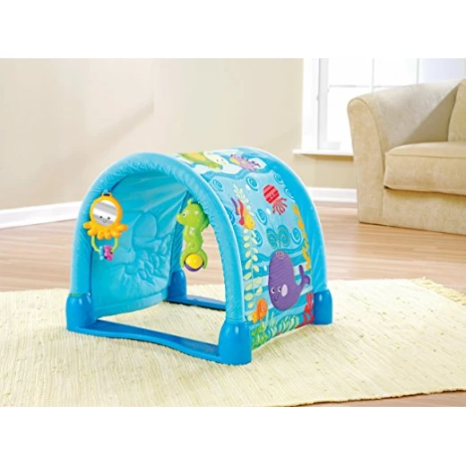 Fisher-Price Ocean Wonders Kick and Crawl Gym - فيشر برايس - Image 3