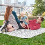 Skip Hop Central Park Blanket & Cooler Bag - Chevron - سكيب هوب