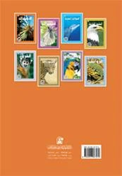 Fish Story - دار المنهل - Image 2