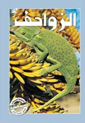 Reptiles Story - دار المنهل