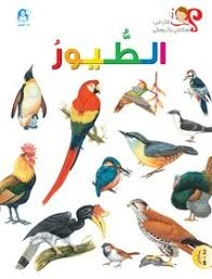 Bird Book Bird Book