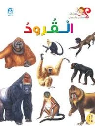 Monkey Story Monkey Story