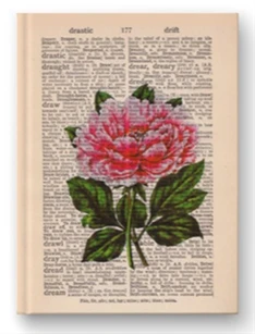 Mofakera-Hardcover Small (16X11.5CM) Mofakera-Hardcover Small (16X11.5CM)