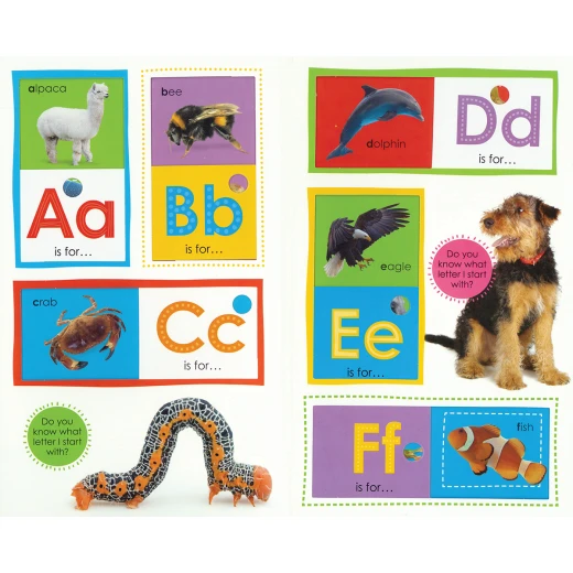 Scholastic Early Learners Slide and Find ABC Animals - سكولاستيك - Image 2