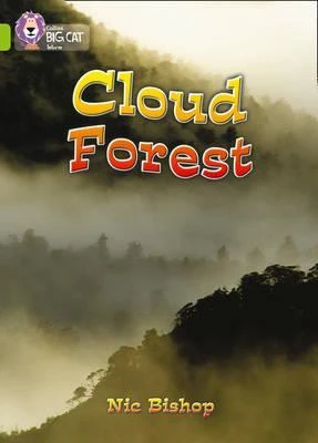 Big cat: The Cloud Forest Big cat: The Cloud Forest