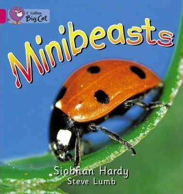 Collins: big cat : minibeasts - كولينز بيج كات