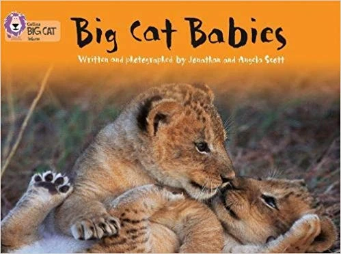 Collins: Big Cat Babies Collins: Big Cat Babies