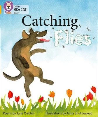 Collins: Big Cat Readers: Catching Flies - كولينز بيج كات