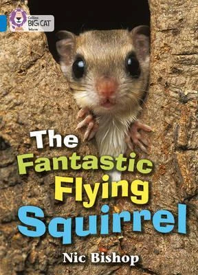 Collins: big cat: the fantastic flying squirrel - كولينز بيج كات