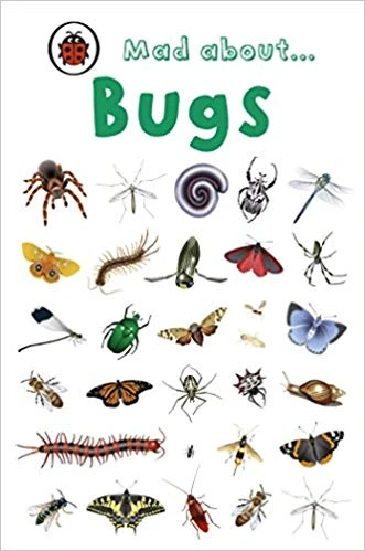 ladybird Mini.P Mad about : bugs ladybird Mini.P Mad about : bugs