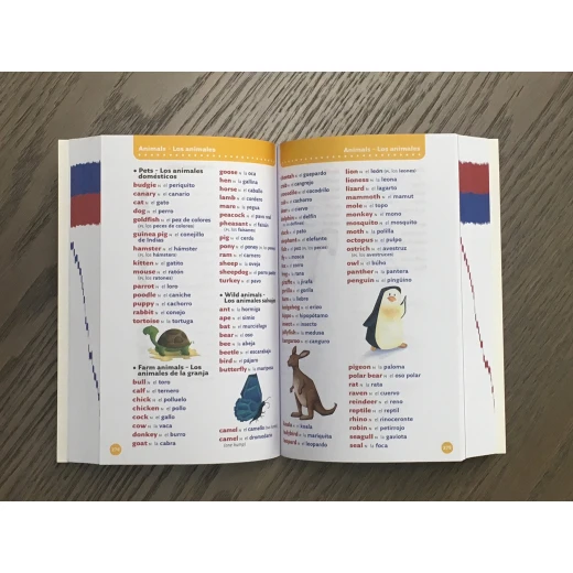 Collins: Primary Illustrated Spanish Dictionary - كولينز بيج كات - Image 2