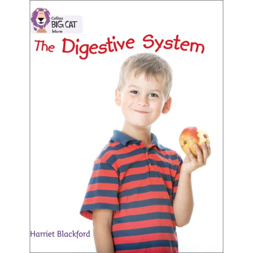 Collins : The Digestive System Collins : The Digestive System