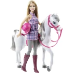Barbie Doll & Horse with Removable Accessories - باربي