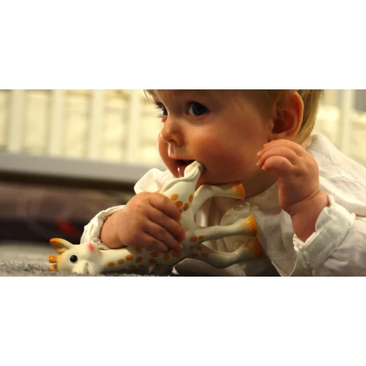 Sophie La Girafe Teether, Fresh Touch box - صوفي لا جيراف - Image 4