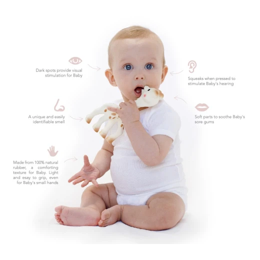 Sophie La Girafe Teether, Fresh Touch box - صوفي لا جيراف - Image 2