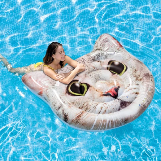 Intex Cat Face Island - انتكس - Image 5
