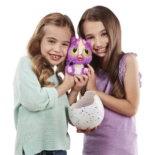 Hatchimals, HatchiBabies Ponette, Hatching Egg with Interactive Toy Pet Baby - هاتشيمالز - Image 9
