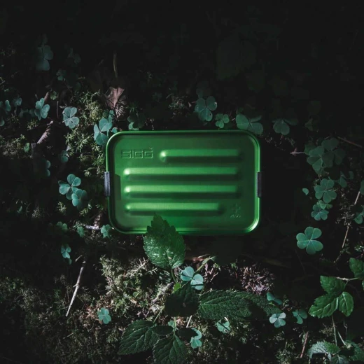 SIGG Metal Box Plus Small, Green - سيغ - Image 3