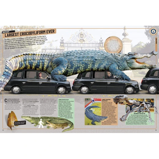 Guinness World Records 2020 Hardcover, 256 pages - Image 3