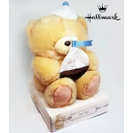 Hallmark Set Sail Teddy Bear - هولمارك