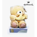 Hallmark Large Congrats Teddy Bear - هولمارك