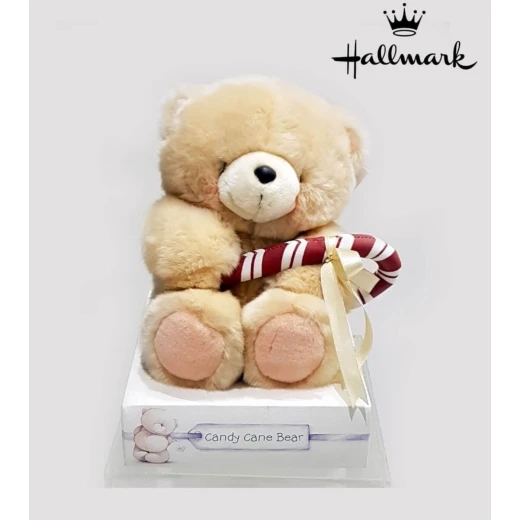 Hallmark Large Candy Cane Teddy Bear - هولمارك - Image 4