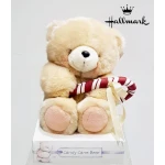 Hallmark Large Candy Cane Teddy Bear - هولمارك