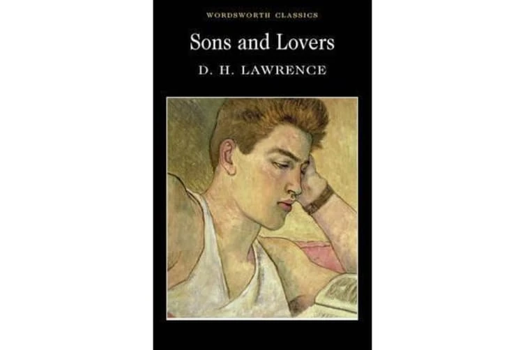 Sons and Lovers Paperback,400 pages