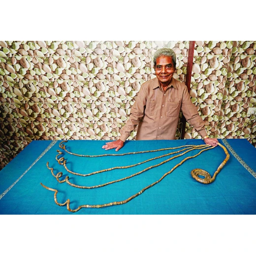 Guinness World Records 2019,256 pages - Image 10