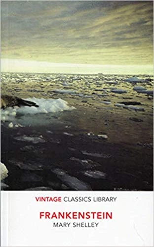 Frankenstein,Paperback | 240 pages Frankenstein,Paperback | 240 pages