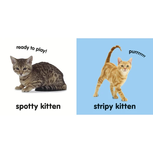 DK Baby Baby Touch and Feel Kittens Board book - كتب دي كاي - Image 2