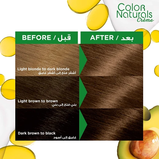 Garnier Color Naturals 6.1 Dark Ash Blonde Hair Color Kit Permanent with Grey Coverage - Garnier - Image 2