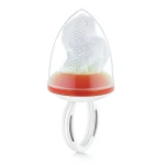 Babyjem fruit and vegetable pacifier orange - BabyJem