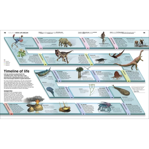 Knowledge Encyclopedia Hardcover - كتب دي كاي - Image 9