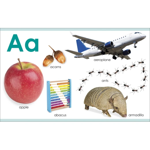 My First ABC Board book - كتب دي كاي - Image 3