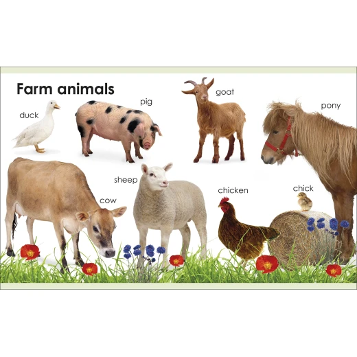My First Animals Board book - كتب دي كاي - Image 4