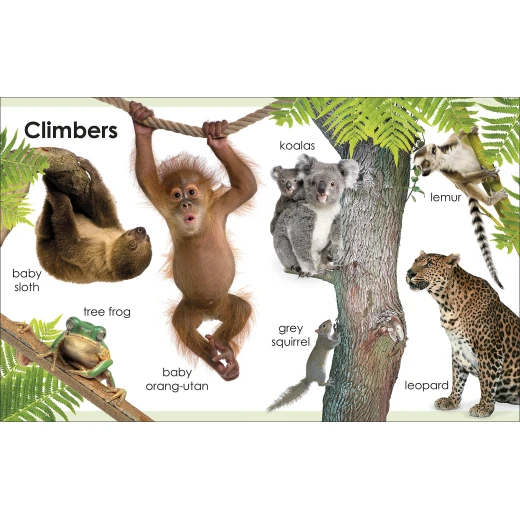 My First Animals Board book - كتب دي كاي - Image 3