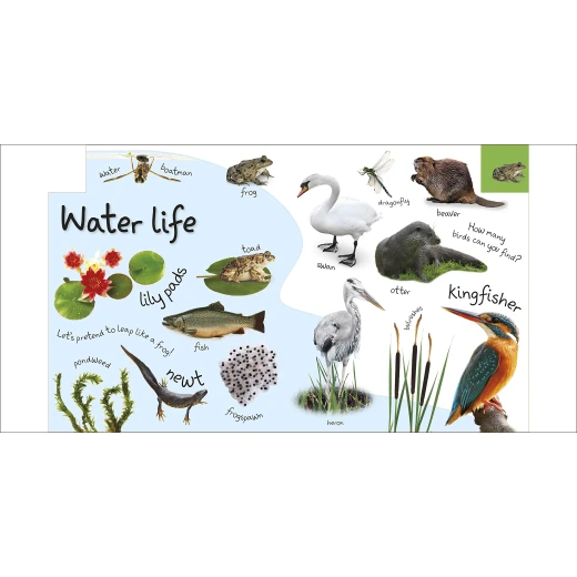 My First Nature Board book - كتب دي كاي - Image 5