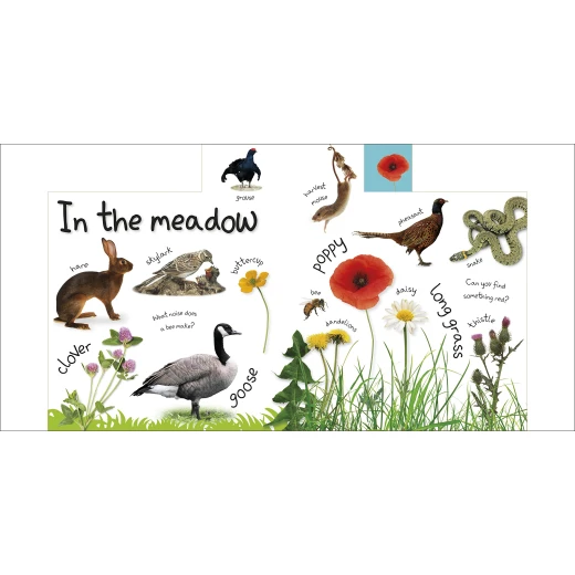 My First Nature Board book - كتب دي كاي - Image 6