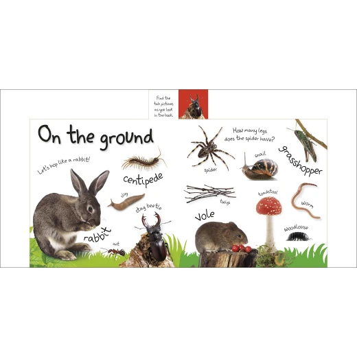 My First Nature Board book - كتب دي كاي - Image 3