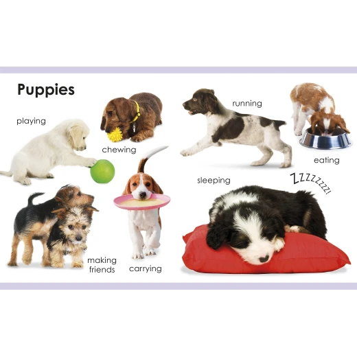 My First Pets Board book - كتب دي كاي - Image 3