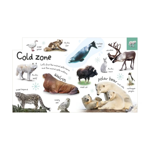My First Zoo Board book - كتب دي كاي - Image 2