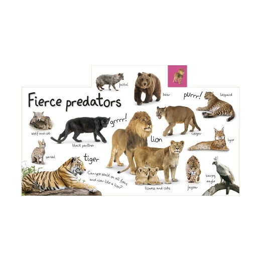 My First Zoo Board book - كتب دي كاي - Image 3