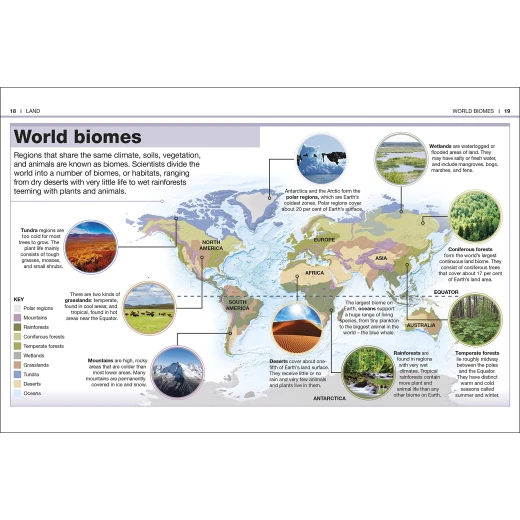 Pocket Eyewitness Earth: Facts at Your Fingertips Paperback - كتب دي كاي - Image 3