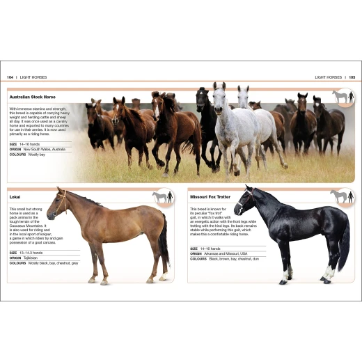 Pocket Eyewitness Horses - كتب دي كاي - Image 6