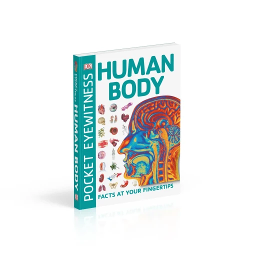 Pocket Eyewitness Human Body: Facts at Your Fingertips Paperback - كتب دي كاي - Image 6