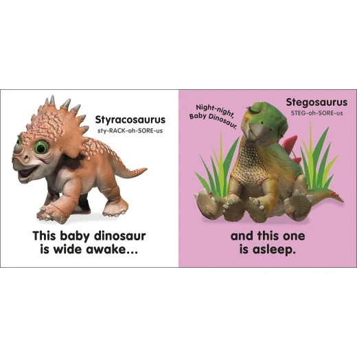 Baby Touch and Feel Baby Dinosaur Board Book - كتب دي كاي - Image 3