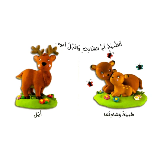 دار المجاني الأميرة المثالية:  العلم :مصور الاطفال : الغابة, 16 صفحه - دار المجاني - Image 3