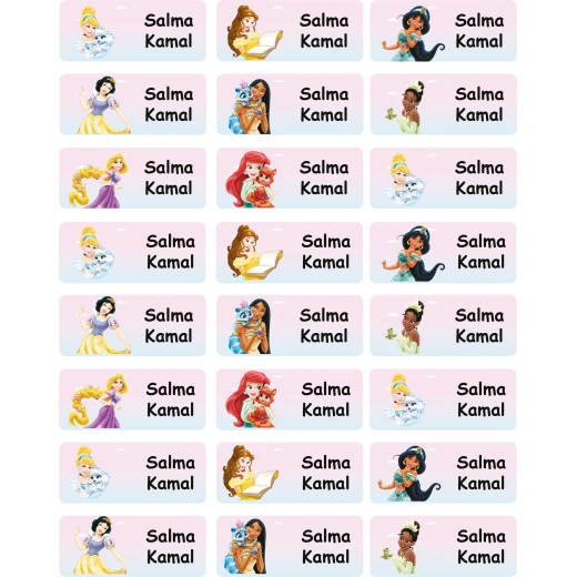Tob3a Book Labels, Disney Princesses Tob3a Book Labels, Disney Princesses